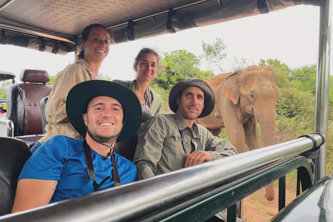 Desde Tangalle: Safari por el Parque Nacional de Yala con bajada: EllaSafari matinal de 4 horas