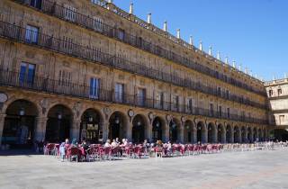 Von Madrid aus: Tagesausflug nach Salamanca mit privater Tour