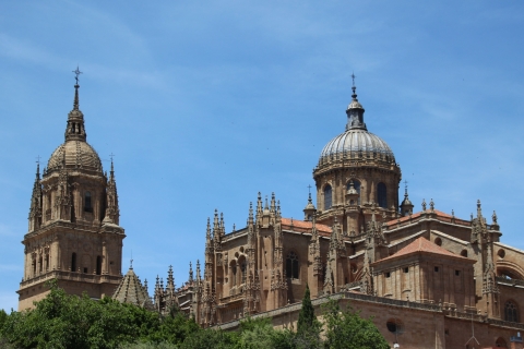 Z Madrytu: jednodniowa wycieczka do Salamanki z prywatną wycieczką