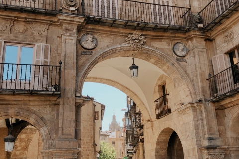 Ab Madrid: Tagesausflug nach Salamanca mit privater Tour
