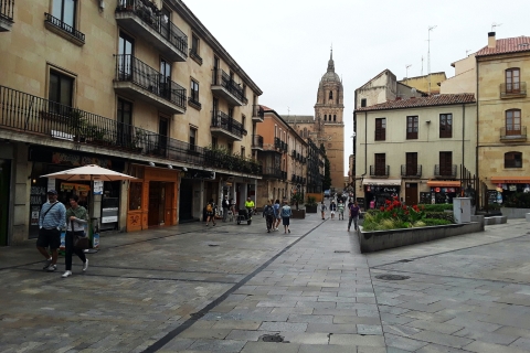 De Madrid: excursion d'une journée à Salamanque avec visite privée
