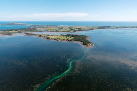 Phillip Island: tour in elicottero dei momenti salienti di Half Island