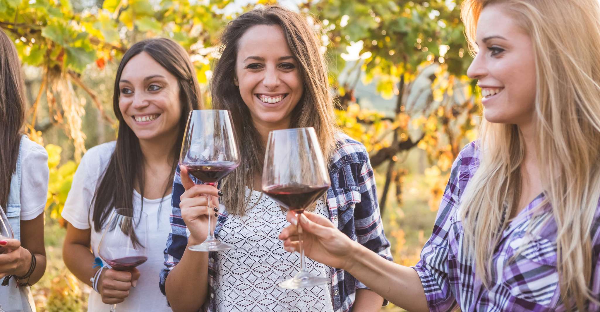 Silves, Algarvian Winery Tour and Tasting Experience - Housity