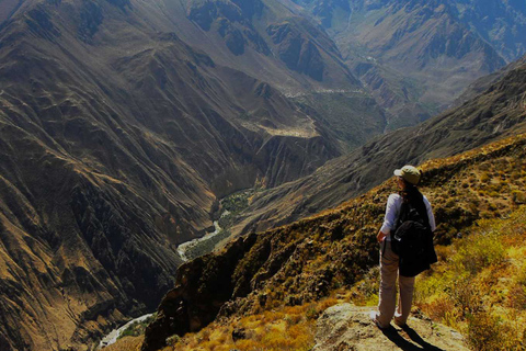 Tour de varios días por Arequipa y el Cañón del Colca