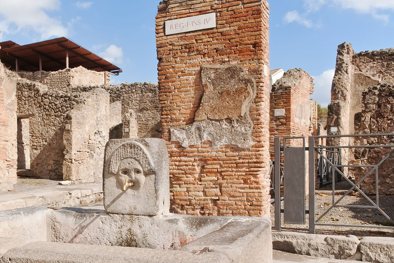 Nápoles: recorre las ruinas de Pompeya con entradas sin colas