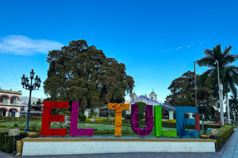 Caminos del Condoy: Zagotuj wodę, Mitla. Mezcal
