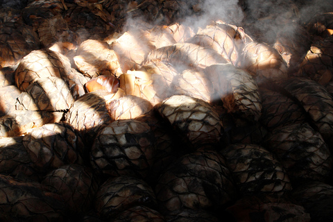Oaxaca: Sustainable Mezcal Tour at an Award-Winning Family Distillery