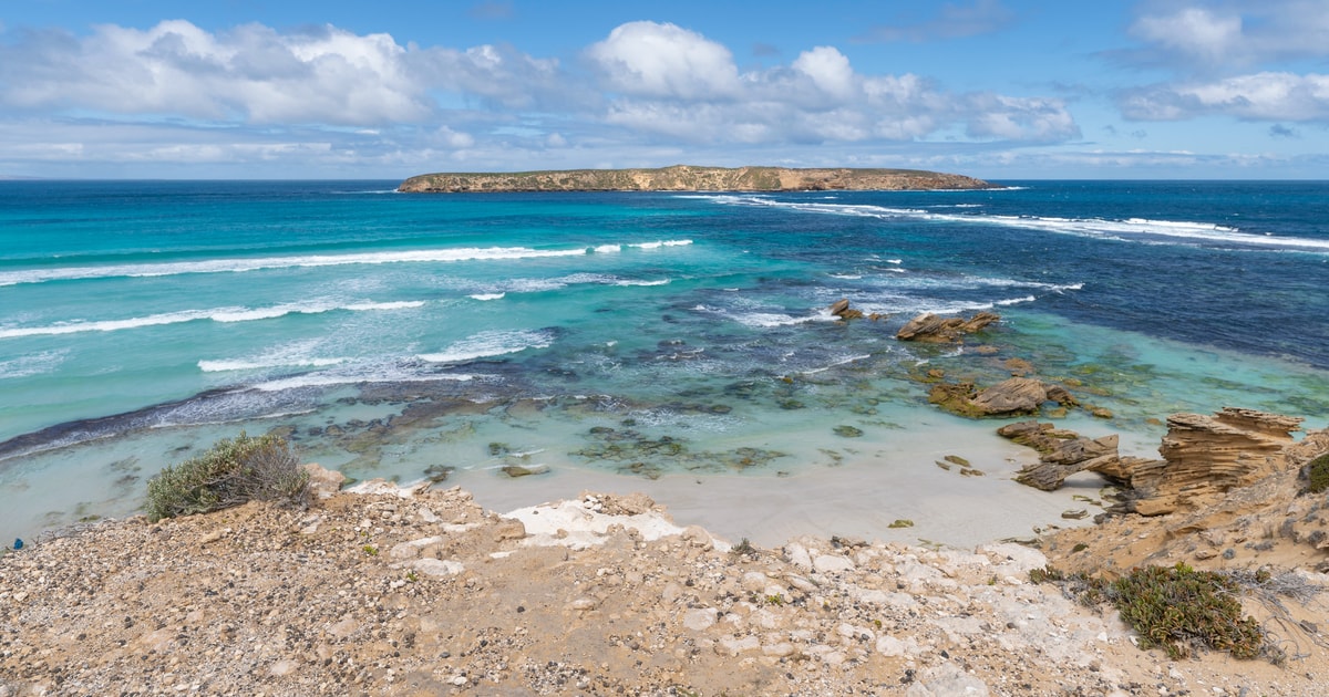 Coffin Bay National Park Highlights and OffRoad 4WD Tour GetYourGuide