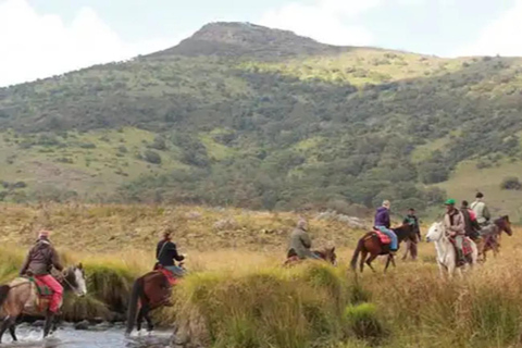 From Addis Ababa: 4-Day Nech Sar N P & Lake Chamo Safari