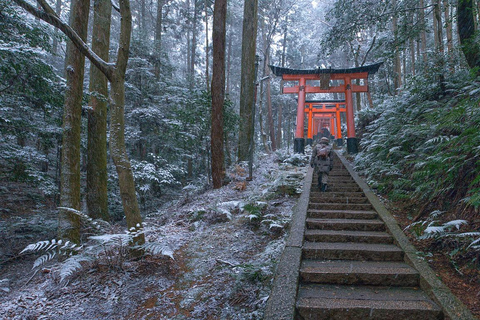 Osaka Kyoto Trasferimento: 10 ore Autista inglese