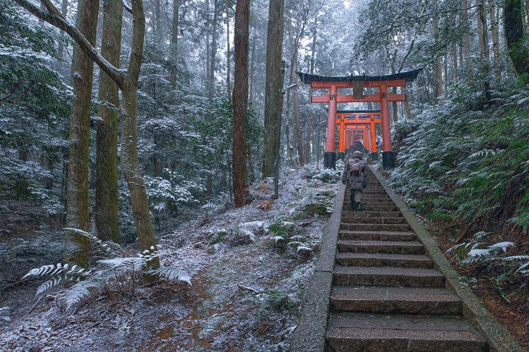 Osaka Kyoto Traslado: 10 horas Motorista inglês