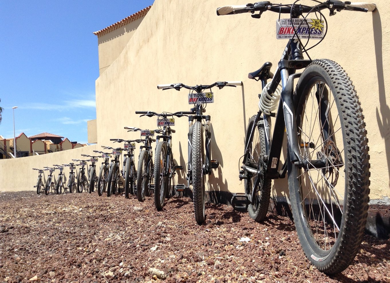 Tenerife: Mountainbikeudlejning med hotellevering