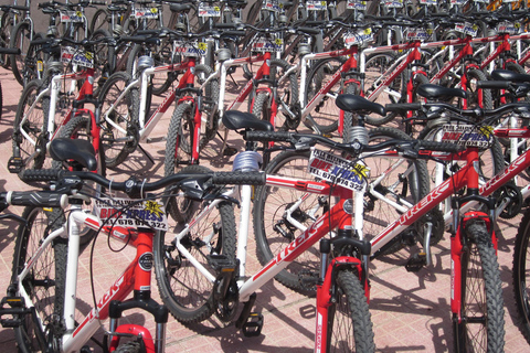 Tenerife: Mountain Bike Rental with Hotel Delivery