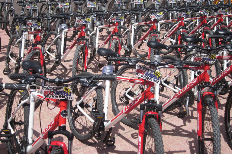 Tenerife: Mountain Bike Rental with Hotel Delivery