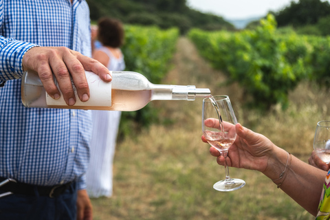 Dinner in the vineyards & wine tasting at Domaine Allegria
