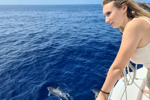 Tour de lujo de avistamiento de ballenas y delfines todo incluido