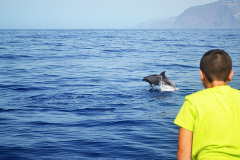 Tour de lujo de avistamiento de ballenas y delfines todo incluido