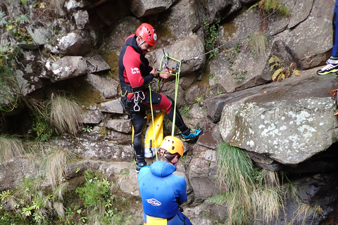 Ab Funchal: Canyoning auf der Insel Madeira für Anfänger