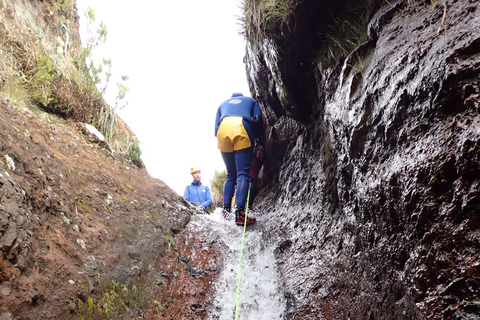 Från Funchal: Madeira Island Canyoning för nybörjareFrån Funchal: Canyoning på Madeira för nybörjare