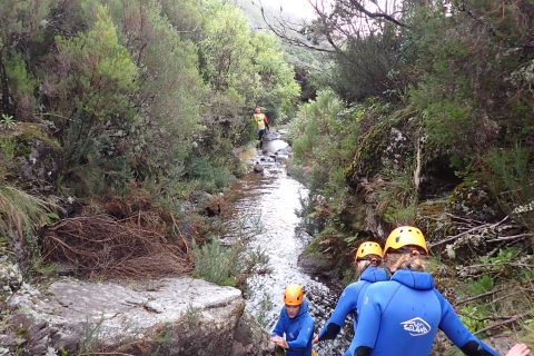 Ab Funchal: Canyoning auf der Insel Madeira für Anfänger