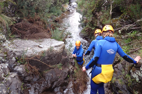 Från Funchal: Madeira Island Canyoning för nybörjareFrån Funchal: Canyoning på Madeira för nybörjare