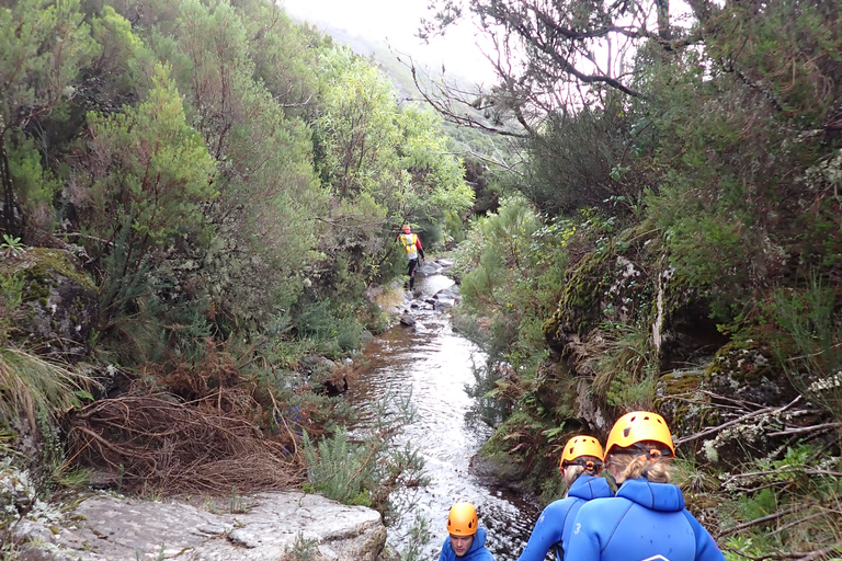 Ab Funchal: Canyoning auf der Insel Madeira für Anfänger