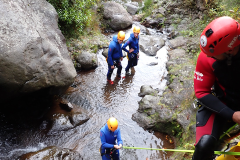 Ab Funchal: Canyoning auf der Insel Madeira für Anfänger