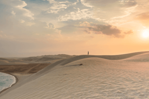 Safari privado por el desierto, paseo en camello y conducción en dunas