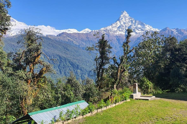 Mardi Himal Guided Private Trekking from Pokhara – 4 Days Mardi Himal Guided Private Trekking from Pokhara – 4 Days