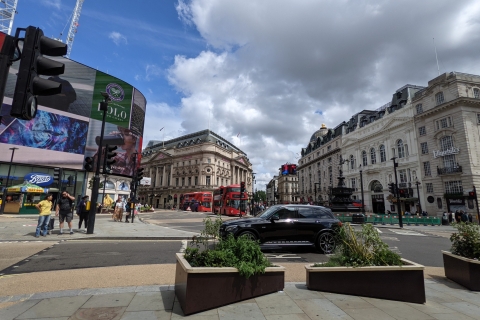 Londyn: prywatna wycieczka samochodem według Twoich potrzebWycieczka 8-godzinna