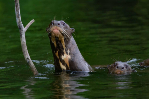 De Cusco | Parc national de Manu 3 jours - Tout compris