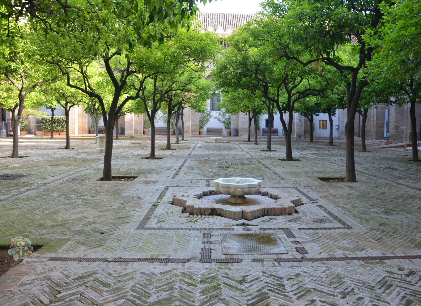 Sevilla: Katedralen, Giralda og Royal Alcázar guidet tur