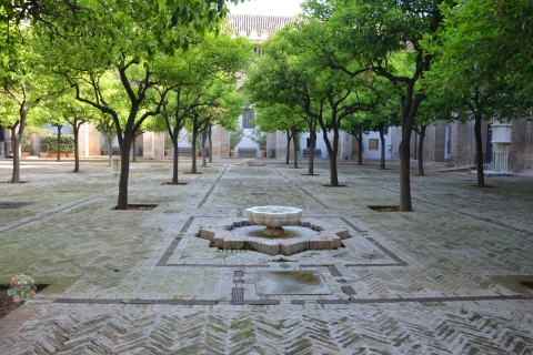 Sevilla: tour guiado de la catedral, la Giralda y el AlcázarTour en español: catedral, Giralda y Alcázar