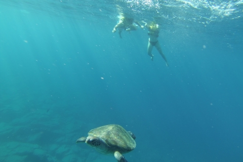 Tenerife : Kayaking and snorkeling with Turtles Kayaking and snorkeling with turtles