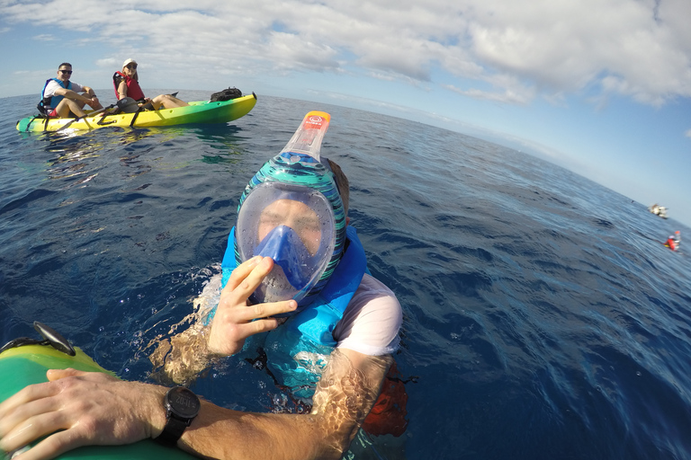 Los Cristianos: Kajak och snorkling med sköldpaddor och foton