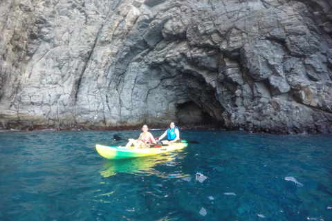 Los Cristianos: Kayak e snorkeling con tartarughe e foto