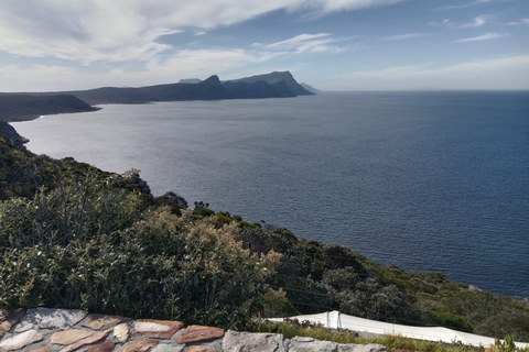 Kapstadt: Halbtagestour auf den Tafelberg mit Seilbahnfahrt