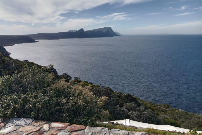 Kaapstad: Halve dag tour op de Tafelberg met kabelbaanrit