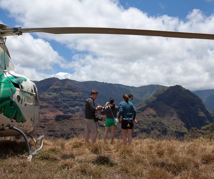 Kauai: Waimea Canyon, Jurassic Falls, & More Helicopter Tour