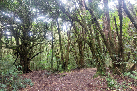 Volcán Barva Heredia Viaje y Caminata