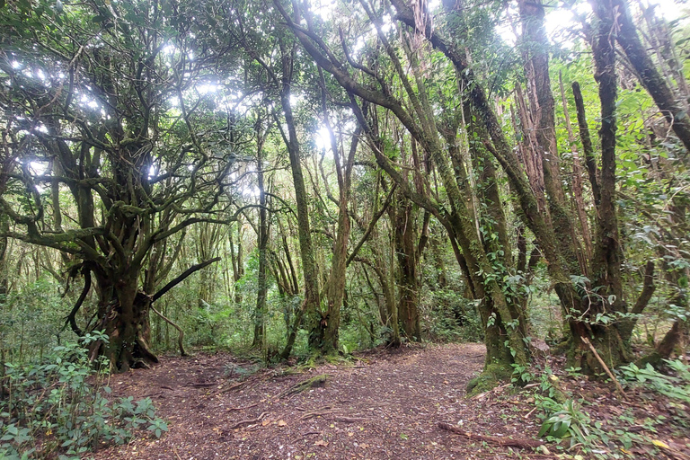 Volcan Barva Heredia Resor och promenader