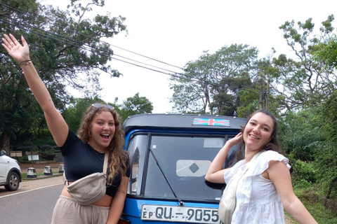 Kandy: Tea Tour