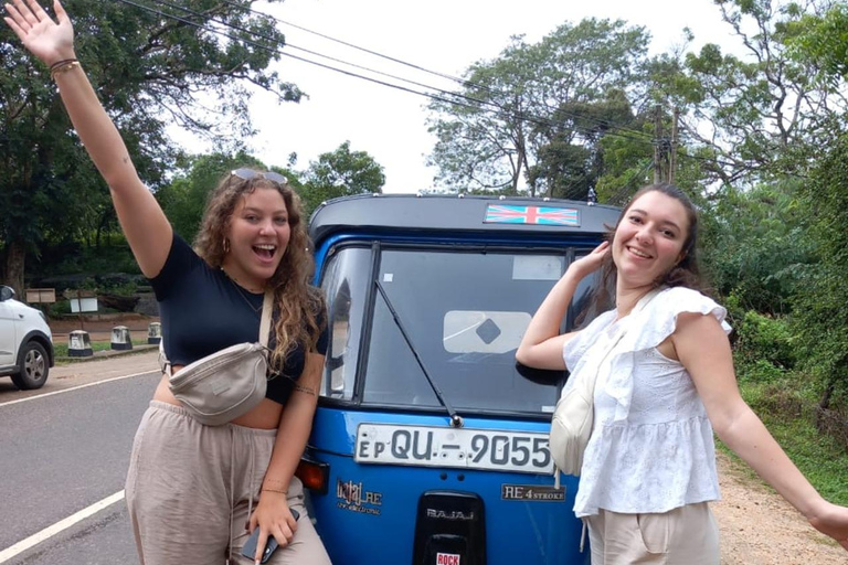 Kandy: Tea Tour