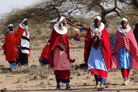 Od Moshi: wioska Masajów i gorące źródła z lunchem