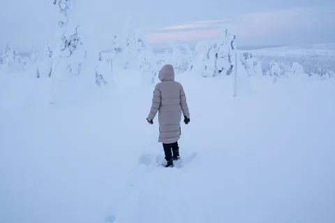 Национальный парк Рииситунтури: частная фотосессия и поход