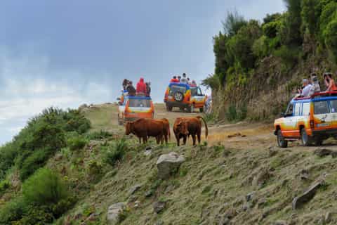 Northwest Madeira 4x4 Tour