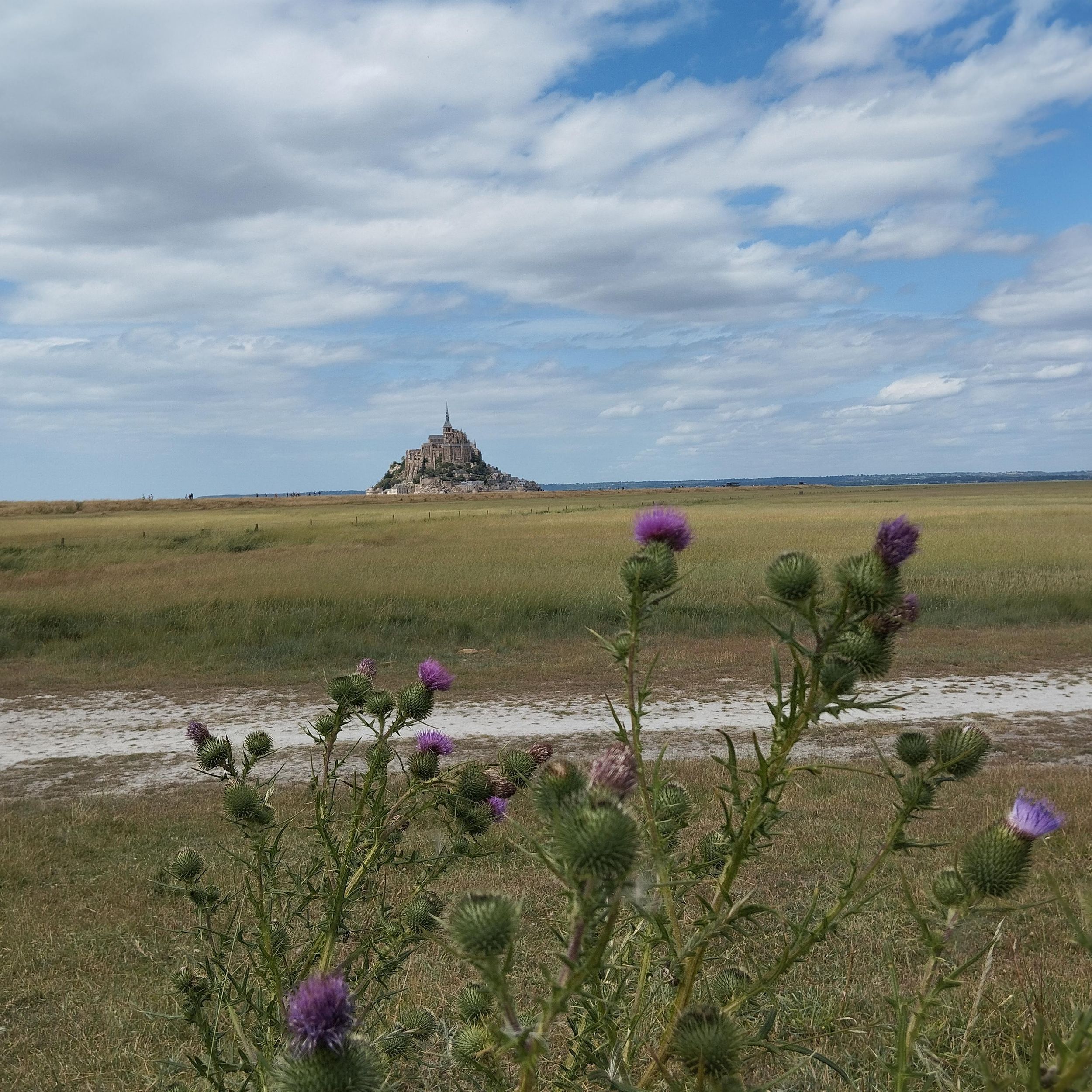 Geführter Tagesausflug mit dem Fahrrad zum Mont-Saint-Michel