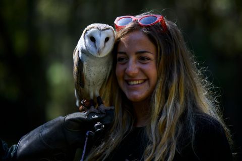 Margaret River: Birds of Prey Show and Forest Walk