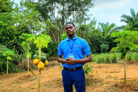 Zanzibar : visite des délices d'épices