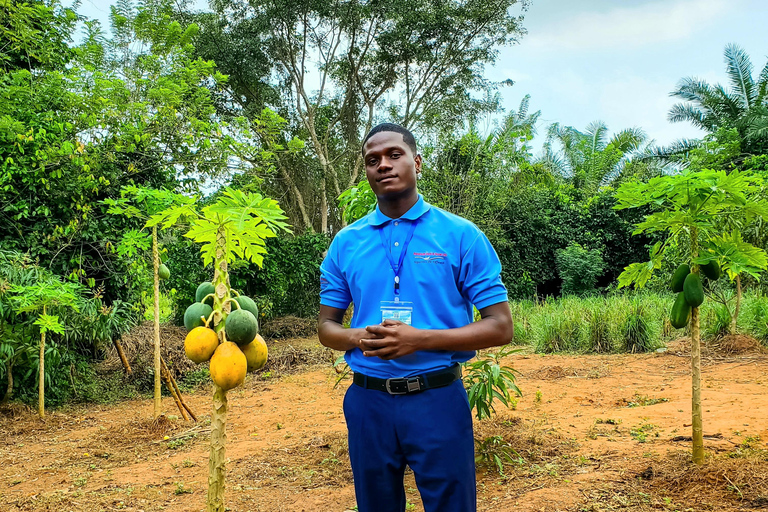 Zanzibar : visite des délices d'épices